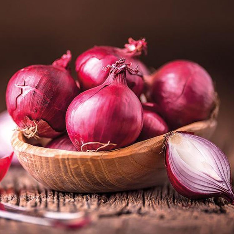 Fresh Onion — Flouers Agri