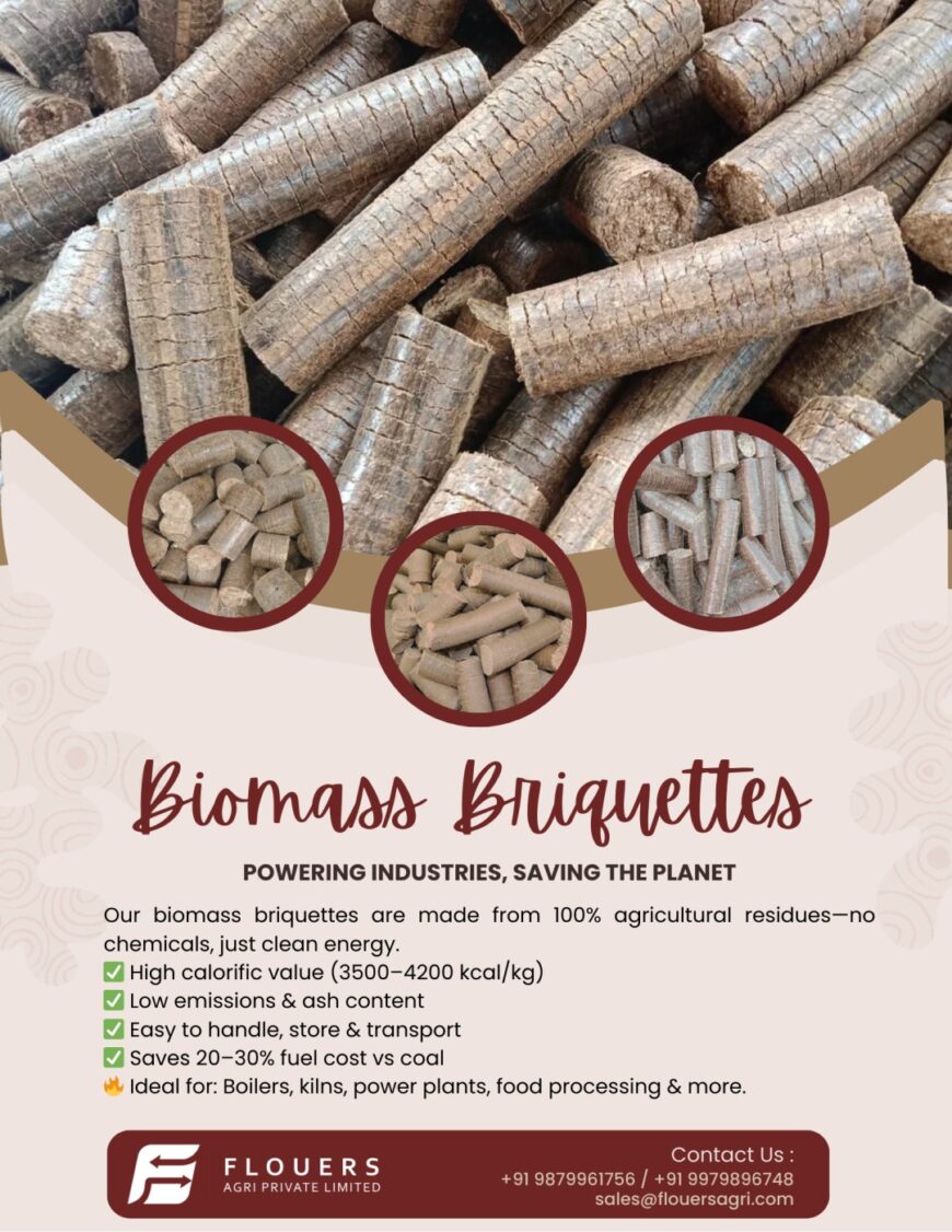 biomass briquettes c