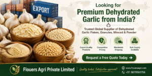 Dehydrated Garlic Export from India