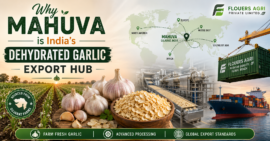 Dehydrated Onion Exporter from Mahuva Gujarat
