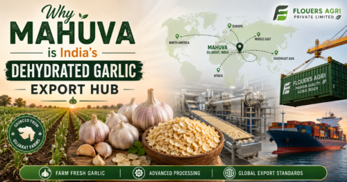 Dehydrated Onion Exporter from Mahuva Gujarat
