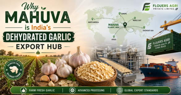 Dehydrated Onion Exporter from Mahuva Gujarat