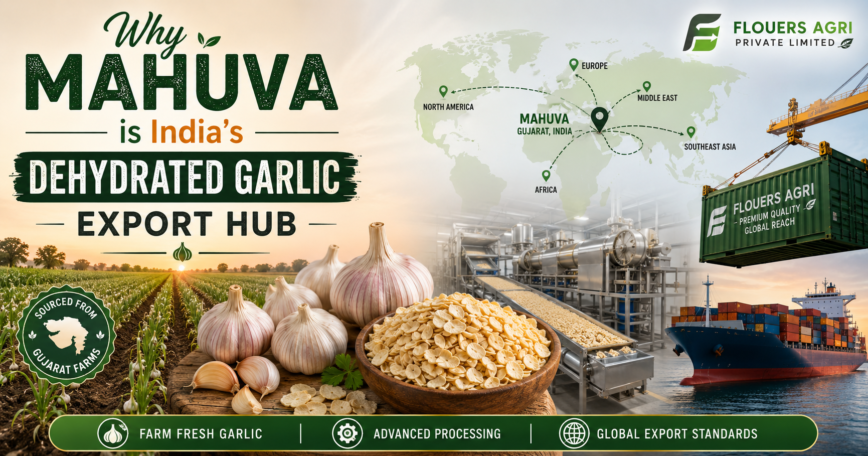 Dehydrated Onion Exporter from Mahuva Gujarat