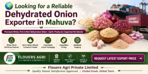 Dehydrated Onion Exporter in Mahuva