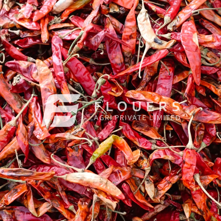 Dry Red Chilli