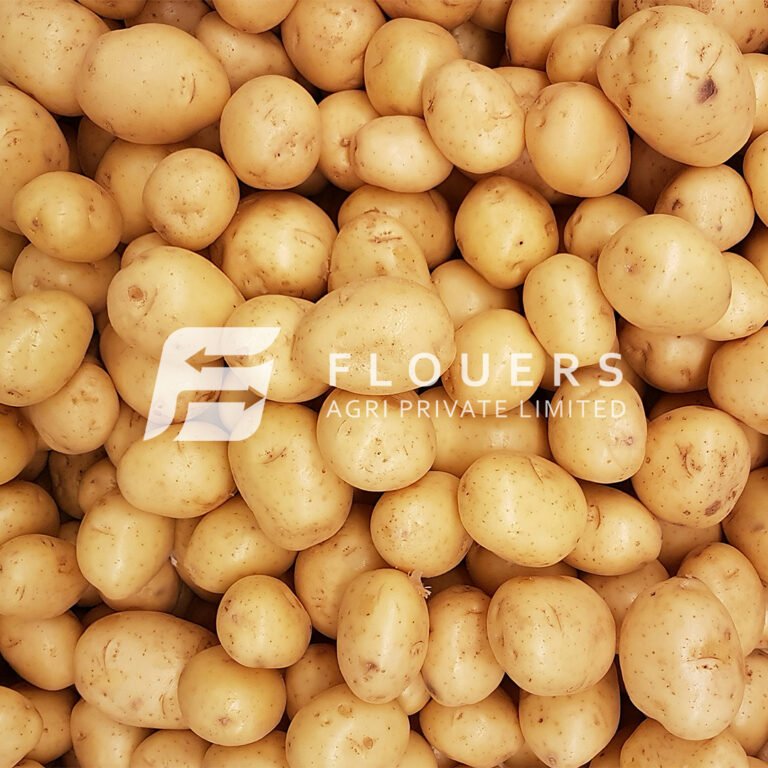 Fresh Potatoes