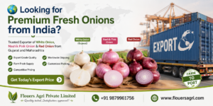 Fresh onion exporter from india