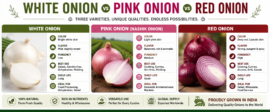 Fresh onion exporter from india