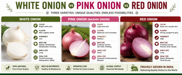 Fresh onion exporter from india