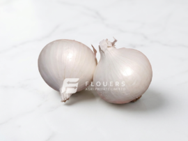 Fresh White Onion