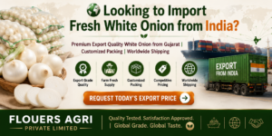 Fresh white onion exporter from India offering customized packing and worldwide shipping.