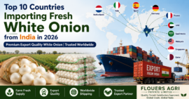 Top 10 countries importing fresh white onion from India in 2026 – Export quality white onion supplier from Gujarat.