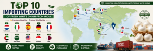 World map showing top importing countries of fresh white onion from India.