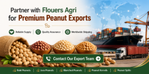 Peanut Export from India