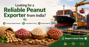 Peanut Export from India
