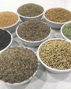 Premium Indian Spices exporter and supplier from India by Flouers Agri Pvt Ltd offering export-quality whole and ground spices