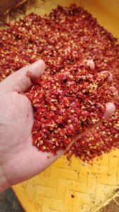 Premium Indian Spices exporter and supplier from India by Flouers Agri Pvt Ltd offering export-quality whole and ground spices