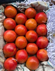 Premium Fresh Pomegranate exporter and supplier from India by Flouers Agri Pvt Ltd offering export-quality pomegranates