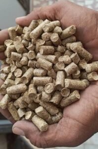 Premium Biomass Pellets manufacturer, exporter and supplier from India by Flouers Agri Pvt Ltd offering sustainable biofuel solutions