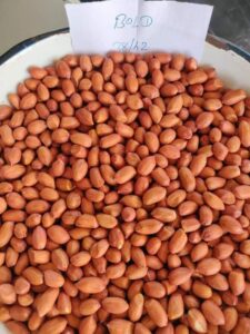 Premium Groundnut (Peanuts) exporter and supplier from India by Flouers Agri Pvt Ltd offering export-quality peanuts