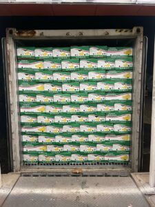 Premium Fresh Banana exporter and supplier from India by Flouers Agri Pvt Ltd offering export-quality bananas