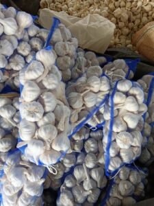 Premium Fresh Garlic exporter and supplier from India by Flouers Agri Pvt Ltd providing export-quality fresh garlic