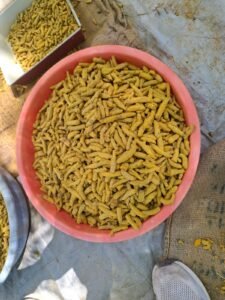 Premium Turmeric Finger exporter and supplier from India by Flouers Agri Pvt Ltd offering export-quality whole turmeric