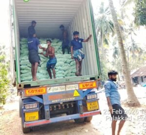 Premium Semi Husk Coconut exporter and supplier from India by Flouers Agri Pvt Ltd offering export-quality coconuts
