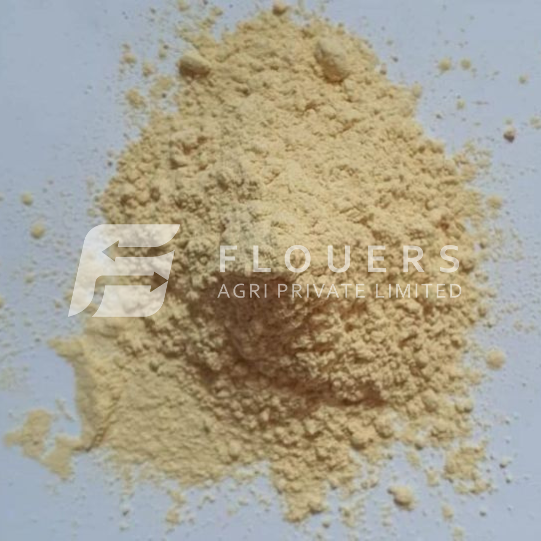Dehydrated Garlic Powder