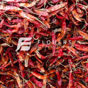 Premium Dry Red Chilli exporter and supplier from India by Flouers Agri Pvt Ltd offering export-quality whole red chillies