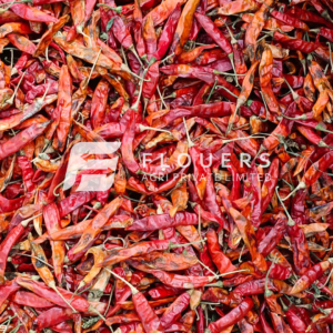 Premium Dry Red Chilli exporter and supplier from India by Flouers Agri Pvt Ltd offering export-quality whole red chillies