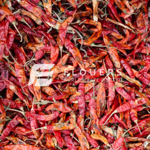 Premium Dry Red Chilli exporter and supplier from India by Flouers Agri Pvt Ltd offering export-quality whole red chillies