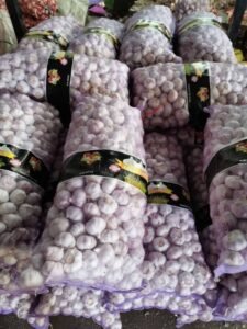 Premium Fresh Garlic exporter and supplier from India by Flouers Agri Pvt Ltd providing export-quality fresh garlic