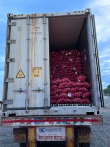 Fresh Pink Onion exporter from India premium Nashik pink onions by Flouers Agri Pvt Ltd
