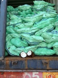 Premium Semi Husk Coconut exporter and supplier from India by Flouers Agri Pvt Ltd offering export-quality coconuts