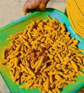 Premium Turmeric Finger exporter and supplier from India by Flouers Agri Pvt Ltd offering export-quality whole turmeric