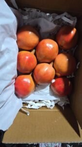 Premium Fresh Pomegranate exporter and supplier from India by Flouers Agri Pvt Ltd offering export-quality pomegranates