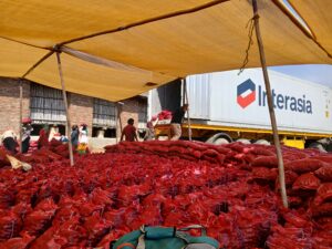 Fresh Red Onion exporter supplier from India premium export quality onions by Flouers Agri Pvt Ltd