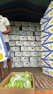 Premium Fresh Banana exporter and supplier from India by Flouers Agri Pvt Ltd offering export-quality bananas