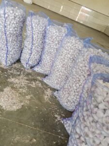 Premium Fresh Garlic exporter and supplier from India by Flouers Agri Pvt Ltd providing export-quality fresh garlic