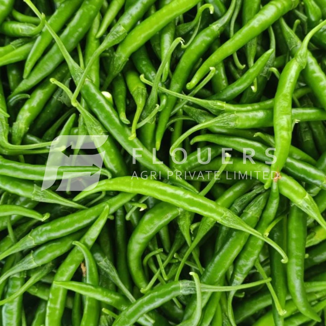 Fresh Green Chilli