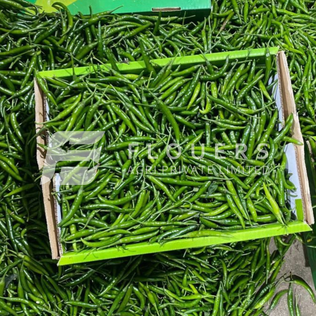 Fresh Green Chilli Exporter from India — Flouers Agri Pvt. Ltd.