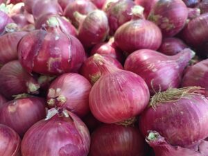 Fresh Pink Onion exporter from India premium Nashik pink onions by Flouers Agri Pvt Ltd