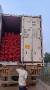 Fresh Pink Onion exporter from India premium Nashik pink onions by Flouers Agri Pvt Ltd