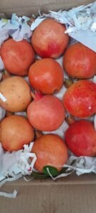 Premium Fresh Pomegranate exporter and supplier from India by Flouers Agri Pvt Ltd offering export-quality pomegranates
