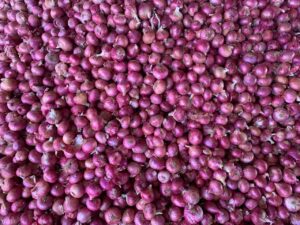 Fresh Red Onion exporter supplier from India premium export quality onions by Flouers Agri Pvt Ltd