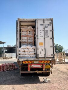 Fresh White Onion exporter from India by Flouers Agri Pvt Ltd premium quality white onions for global export