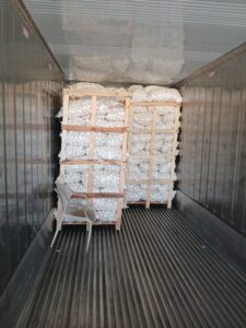 Fresh White Onion in PP Mesh Bags