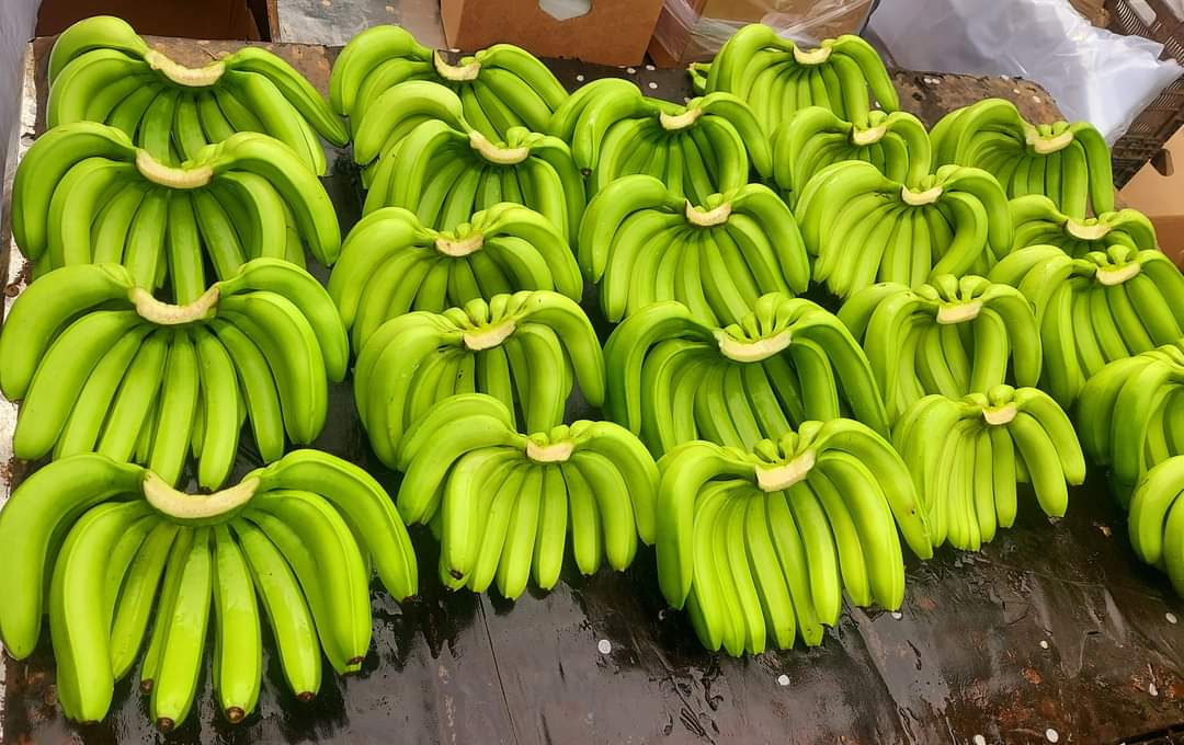 Fresh Banana Exporter from India — Flouers Agri Pvt. Ltd.