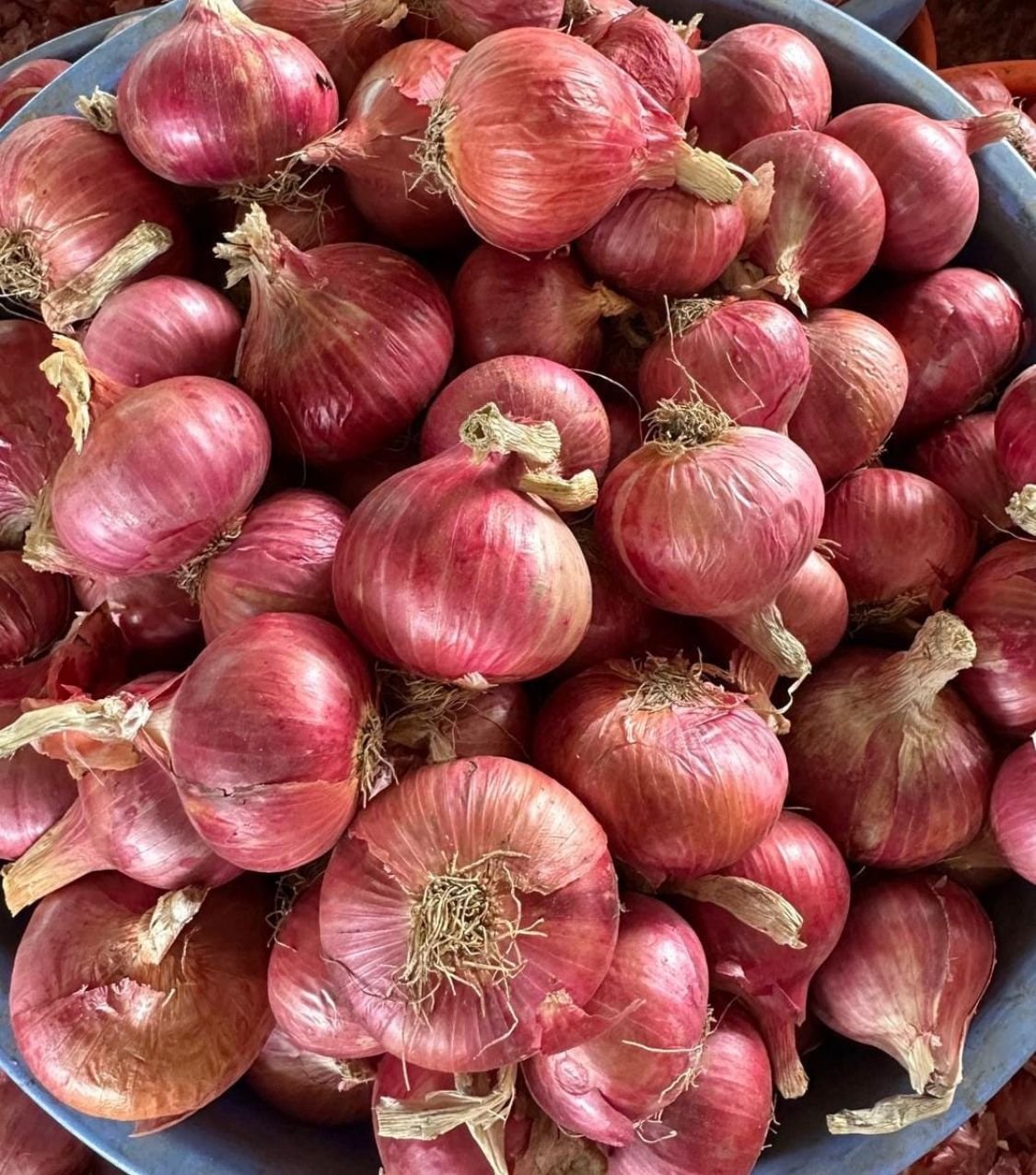 Fresh Pink Onion